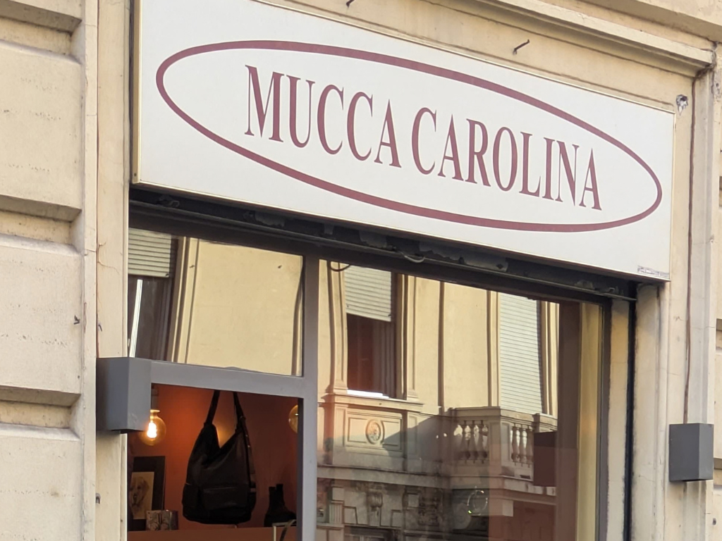 Mucca Carolina Dettaglio